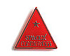 link to Spacex badge page